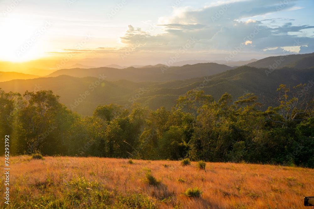 Ta Nang - Phan Dung route with milestone between 3 provinces through grass hills and forests in Song Mao Nature Reserve Ta Nang - Phan Dung route with milestone between 3 provinces through grass hills and forests in Song Mao Nature Reserve
