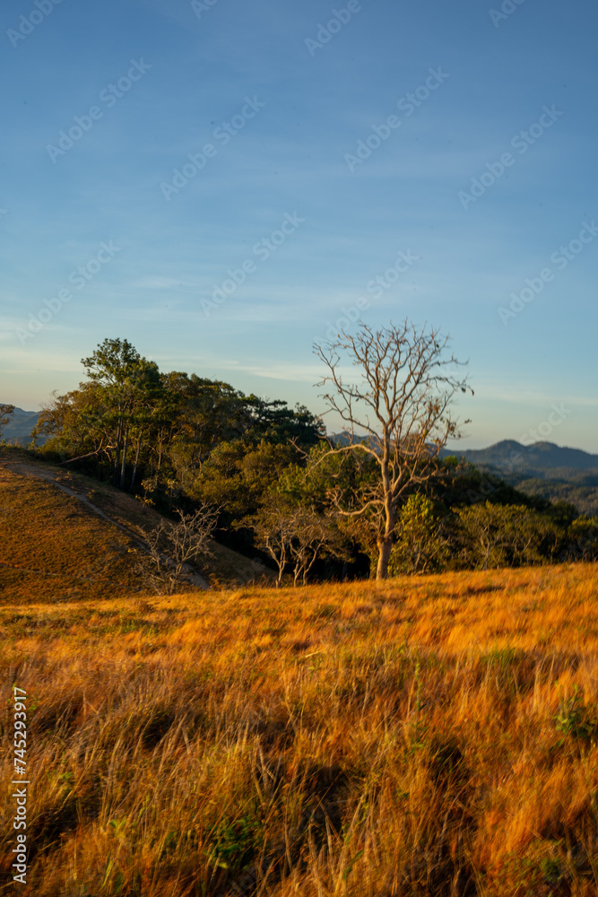 Ta Nang - Phan Dung route with milestone between 3 provinces through grass hills and forests in Song Mao Nature Reserve