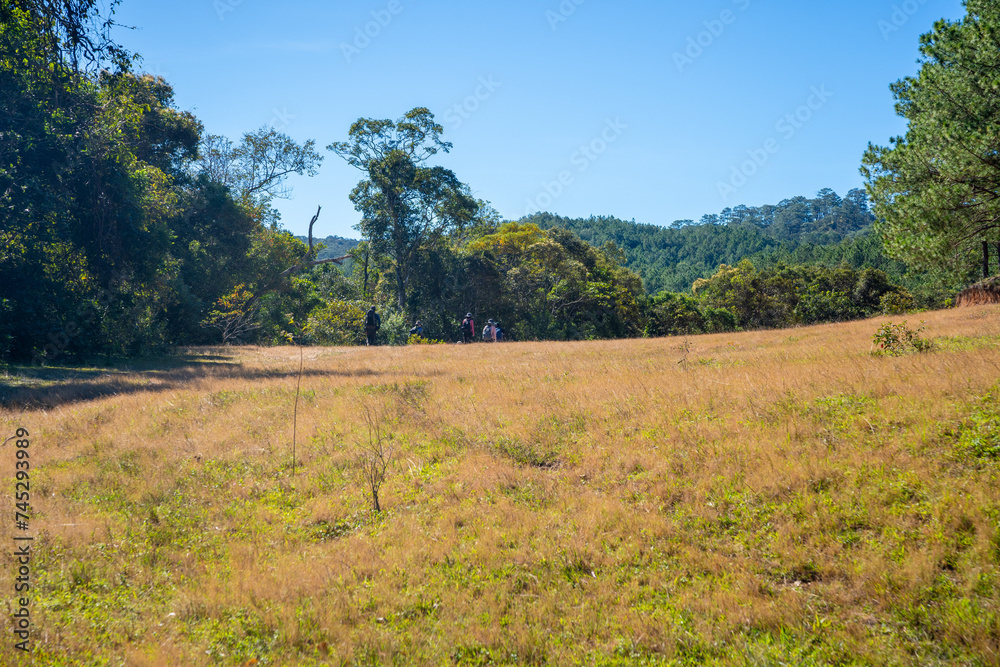 Ta Nang - Phan Dung route with milestone between 3 provinces through grass hills and forests in Song Mao Nature Reserve Ta Nang - Phan Dung route with milestone between 3 provinces through grass hills and forests in Song Mao Nature Reserve