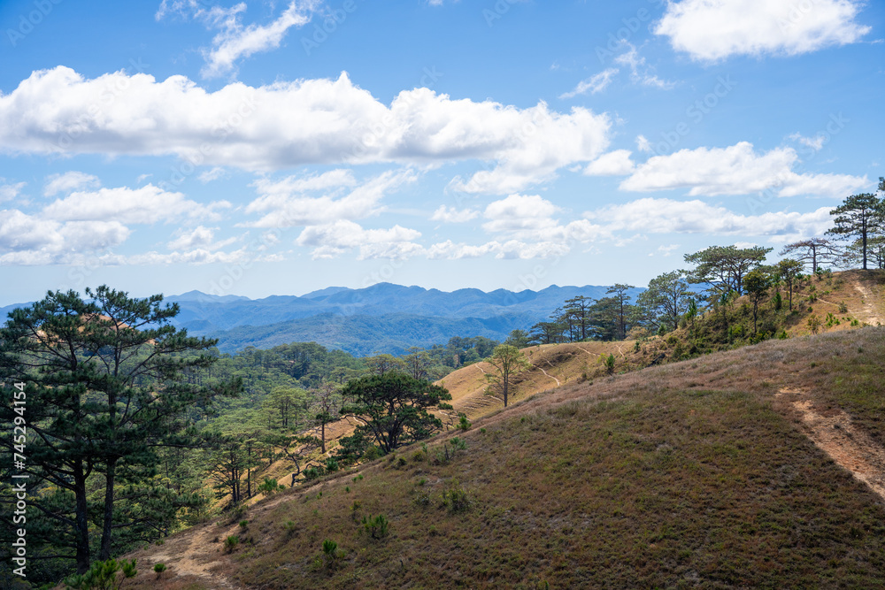 Fototapeta premium Ta Nang - Phan Dung route with milestone between 3 provinces through grass hills and forests in Song Mao Nature Reserve