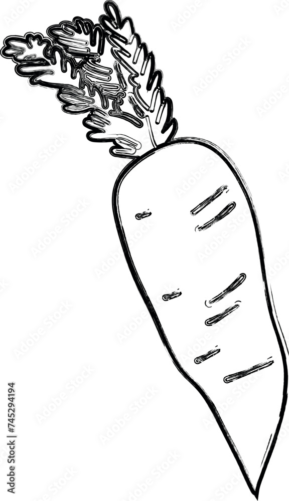 Carrot drawing doodle vegetable design. Carrot drawing doodle vegetable design.