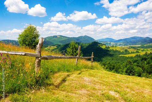 wooden fence on the meadow. mountainous rural landscape of transcarpathia, ukraine in summer. carpathian countryside with forested rolling hill beneath a blue sky with fluffy clouds on a sunny day