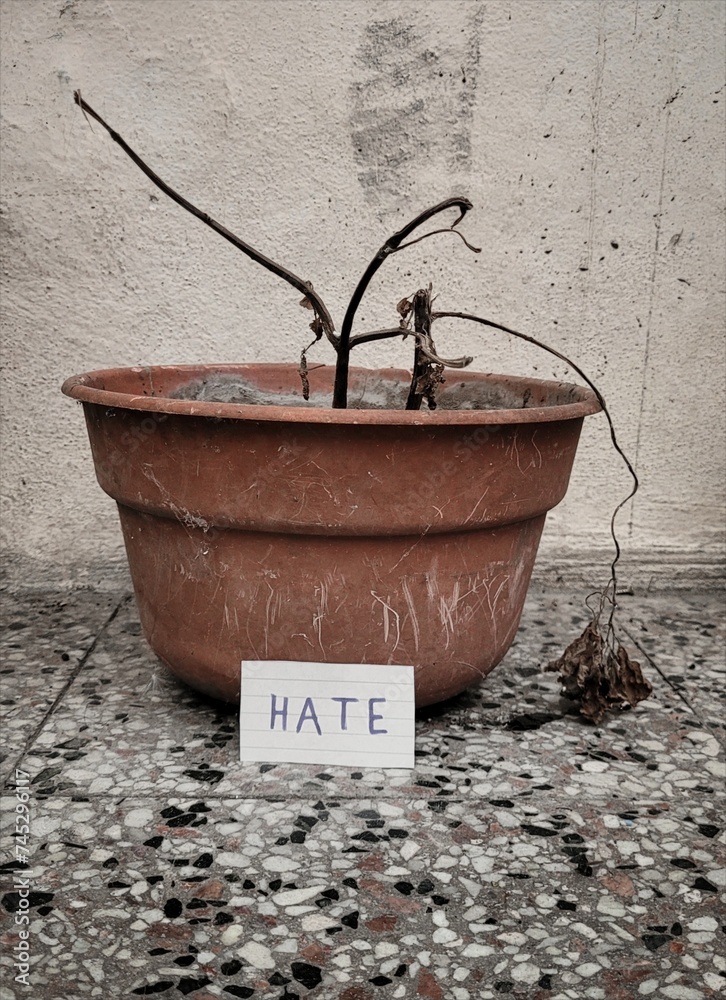 Naklejka premium Hate damage result: Hate destroy people, personas are like plants...