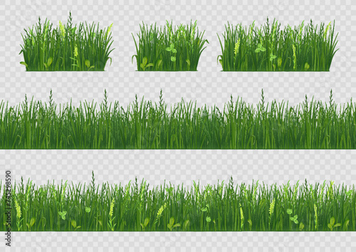 Spring grass. 3d field vegetation, fresh green line lawn meadow, park landscape farm bar or border for ecology banner. Realistic natural environment. Summer herbal plants. Vector isolated set