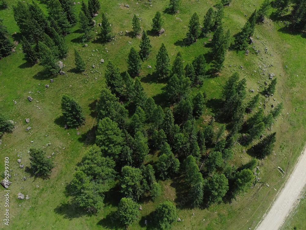 Aerial view of green mountain landscape and alpine meadows. Aerial view of green mountain landscape and alpine meadows.