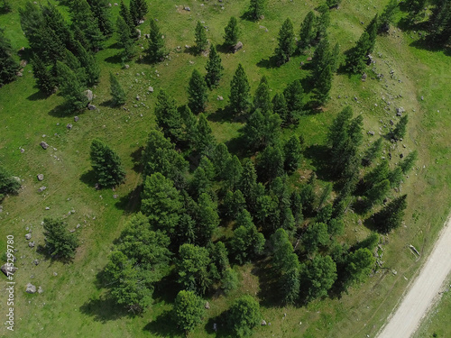 Aerial view of green mountain landscape and alpine meadows. 