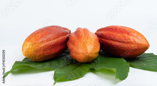Cacao pods on green leafs