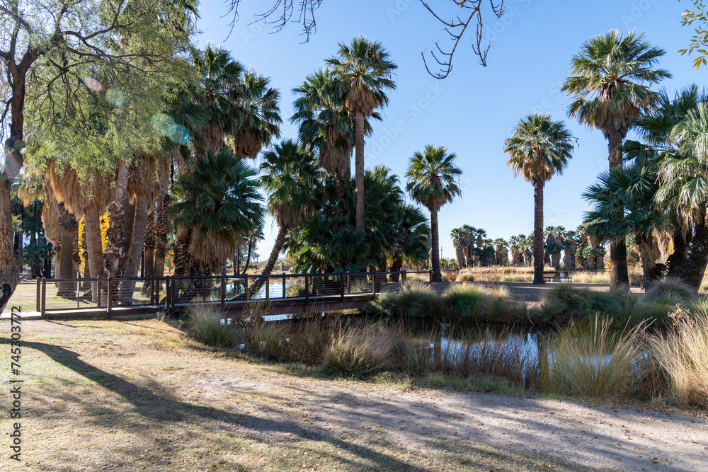 Agua Caliente Regional Park in Tucson Arizona on a sunny day