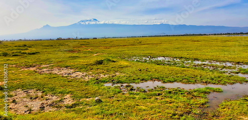 A classic wide angle panorama of Africa's highest peak - Mount Kilimanjaro with its Kibo and Mawenzie peaks over the vast savanna plains in the bright morning sun at Amboseli National Park, Kenya