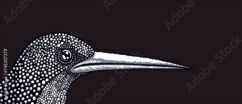 a black and white drawing of a bird with a long beak and a large beak, with dots on it's head. photo
