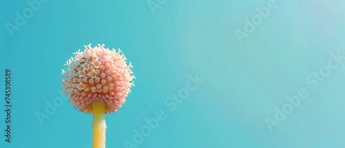 a close up of a pink flower on a yellow stem with a blue sky in the backgrounnd.