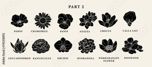 Flat vector garden flowers set