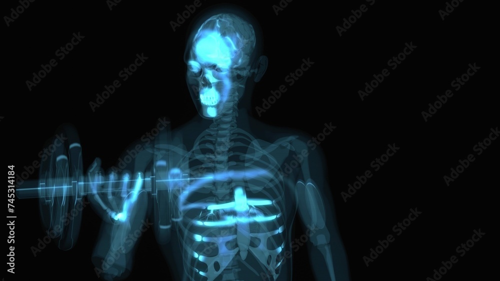 Abstract 3D Anatomy Man Doing Biceps Curls Abstract 3D Anatomy Man Doing Biceps Curls