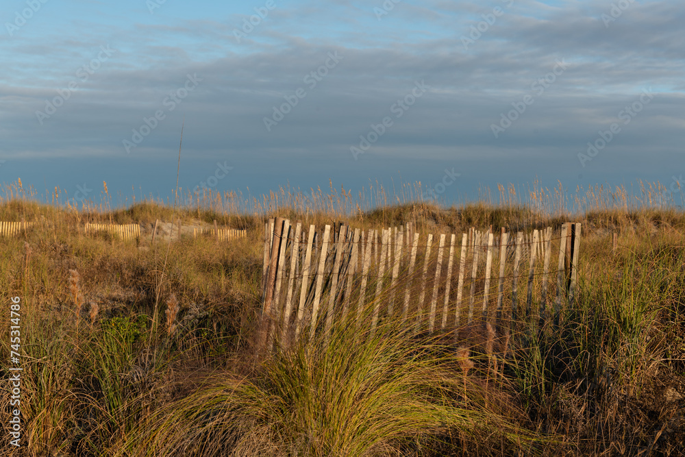 Beach fences setup for sand dune creation at the beach to preserve nature and withstand erosion for the environment.