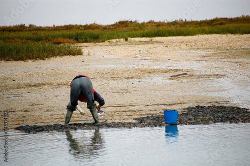 harvesting mussels in the cost of portugal