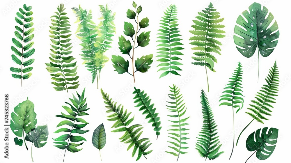 Vector designer elements set collection of green forest fern, tropical green eucalyptus greenery art foliage natural leaves herbs in watercolor style. Decorative beauty elegant illustration for design