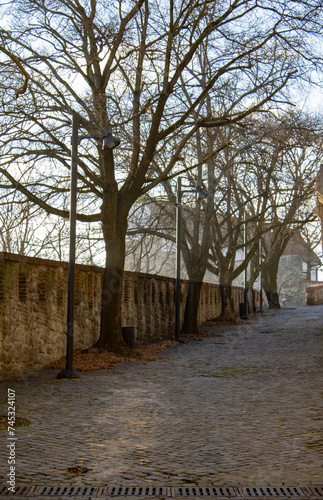 Photography mystic path