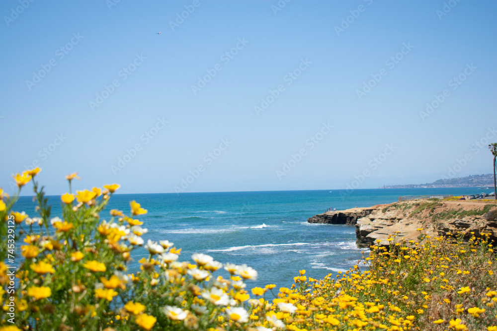 Spring flowers on ocean view cliffside