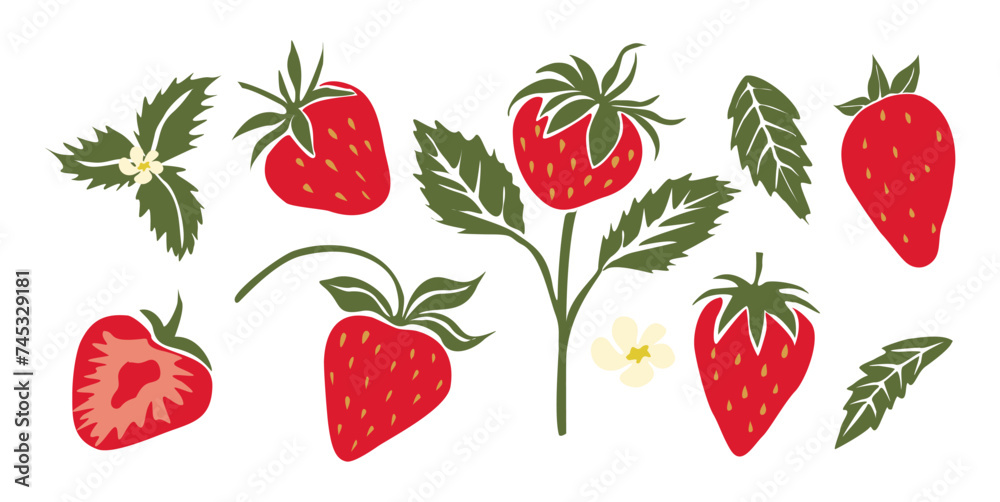 Hand drawn abstract strawberry set. Collection of whole and cut strawberries, branches, flowers and leaves vector illustrations isolated on white background. Fresh juicy fruits clip art.