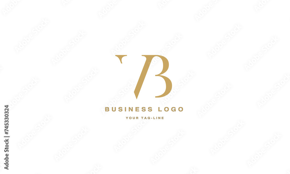 VB ,BV ,V ,B ,Abstract Letters Logo Monogram