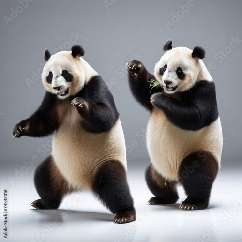 Pandas Dancing