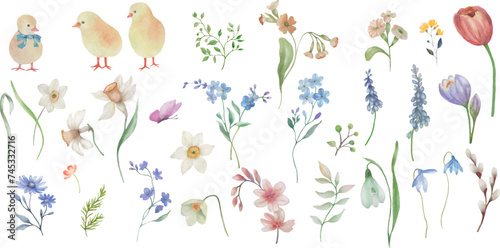 Spring floral set. Watercolor Easter elements. Hand drawn illustration isolated on transparent background.  Vector EPS.