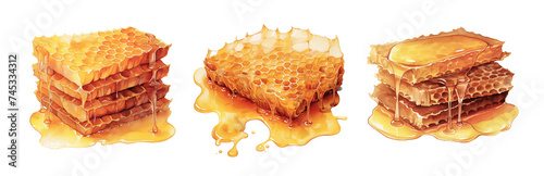 Watercolor honeycomb, gold honey food isolated on white background. Yellow natural healthy honeycomb hive illustration