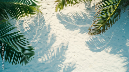 Tropical palm leaves on white sand beach background. Summer vacation concept