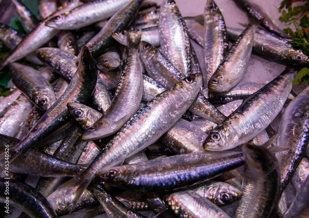 fresh Spanish Anchovies, Mallorca, Spain fresh Spanish Anchovies, Mallorca, Spain