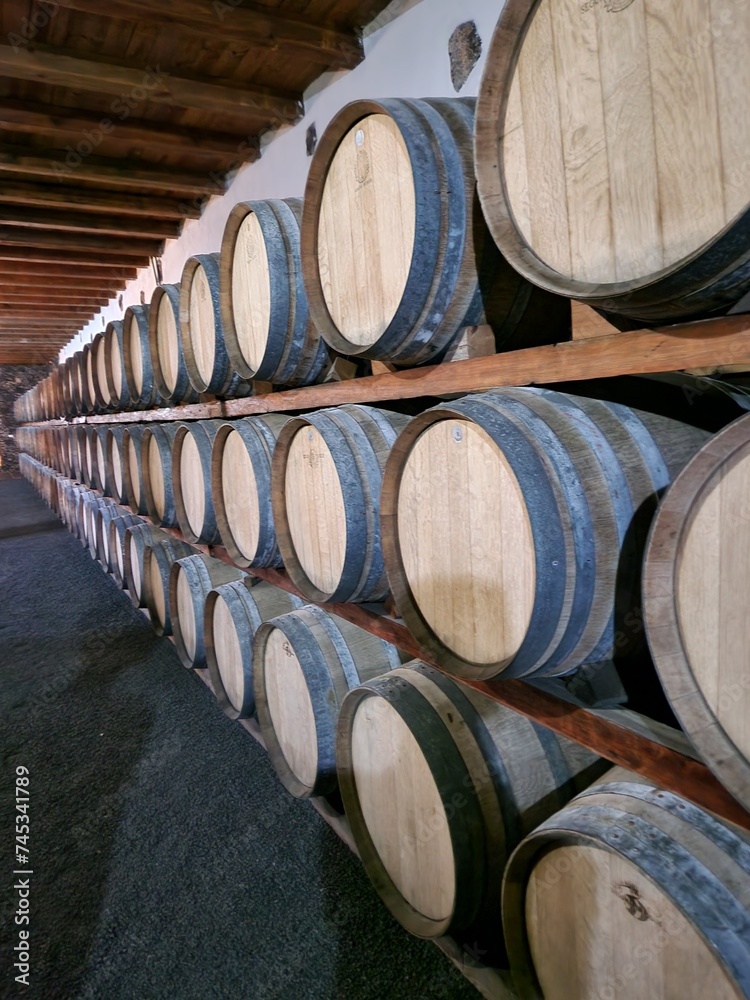 Oak wine barrels in wine cellar of vineyard Oak wine barrels in wine cellar of vineyard