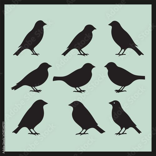 Grosbeak black silhouette set vector, collection of birds