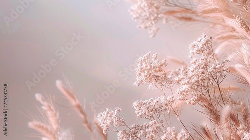boho style background with soft pastel color and elegant floral elements, creating aesthetic minimalism design
