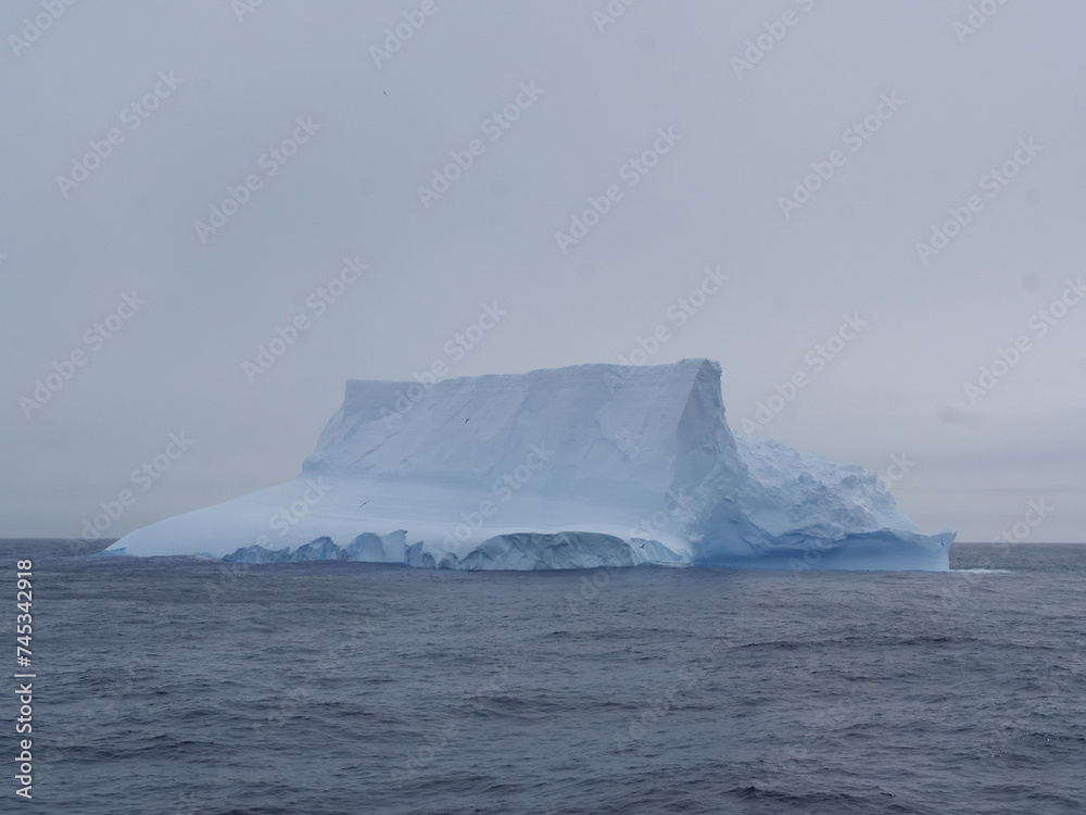 Großer Eisberg mit davor fliegendem Albatros in der Drake Passage zwischen Antarktischer Halbinsel und Kap Horn Großer Eisberg mit davor fliegendem Albatros in der Drake Passage zwischen Antarktischer Halbinsel und Kap Horn