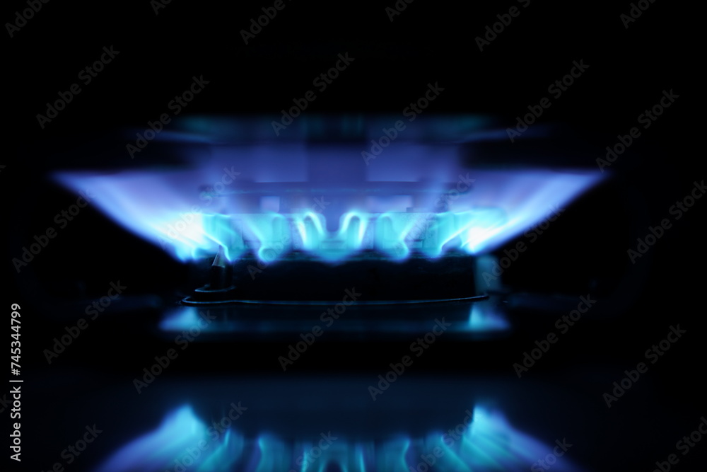 Flames from the kitchen gas stove. Flames from the kitchen gas stove.