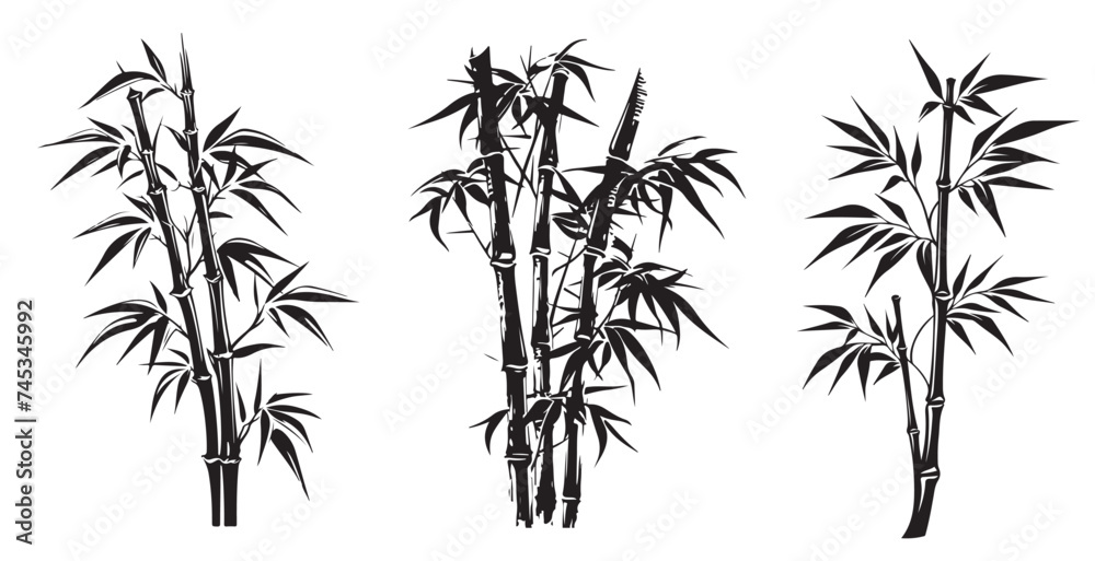 Fototapeta premium Bamboo hand drawn style, illustrations