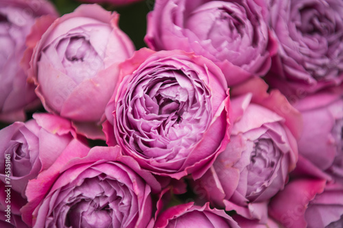 pink peony-shaped roses in a bouquet