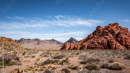 Desert Landscapes