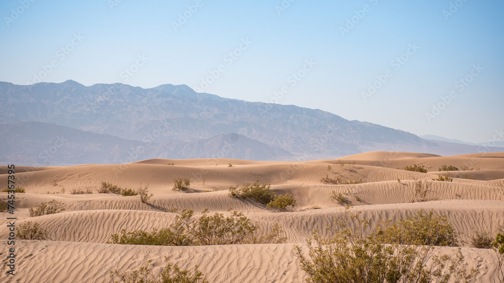 Naklejka premium Desert Landscapes