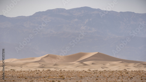 Desert Landscapes