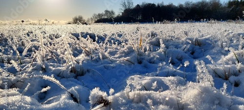 Fényképezés a snow covered field in the sun with trees in the background