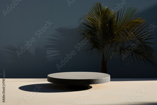 Round table or product podium with palm tree shadow on backdrop under the sky in a serene landscape © Anna