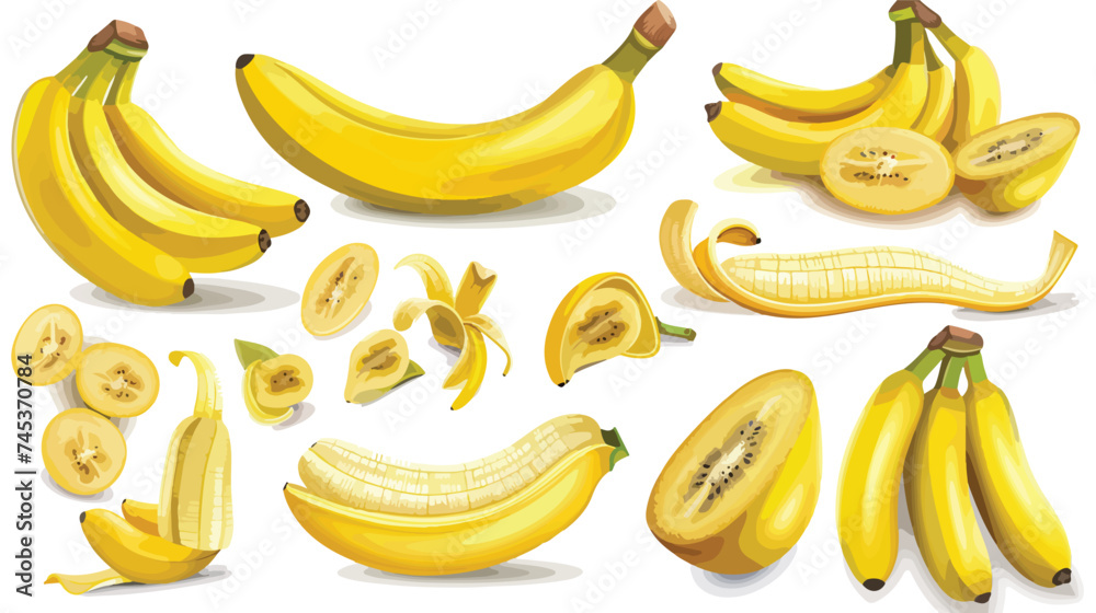 Banana Fruit Fresh Harvest Vector Illustration Isolated