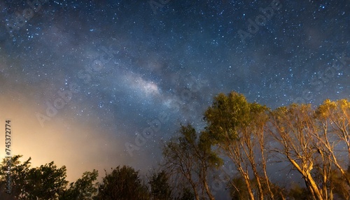 Beau ciel nocturne, la Voie Lactée et les arbres photo