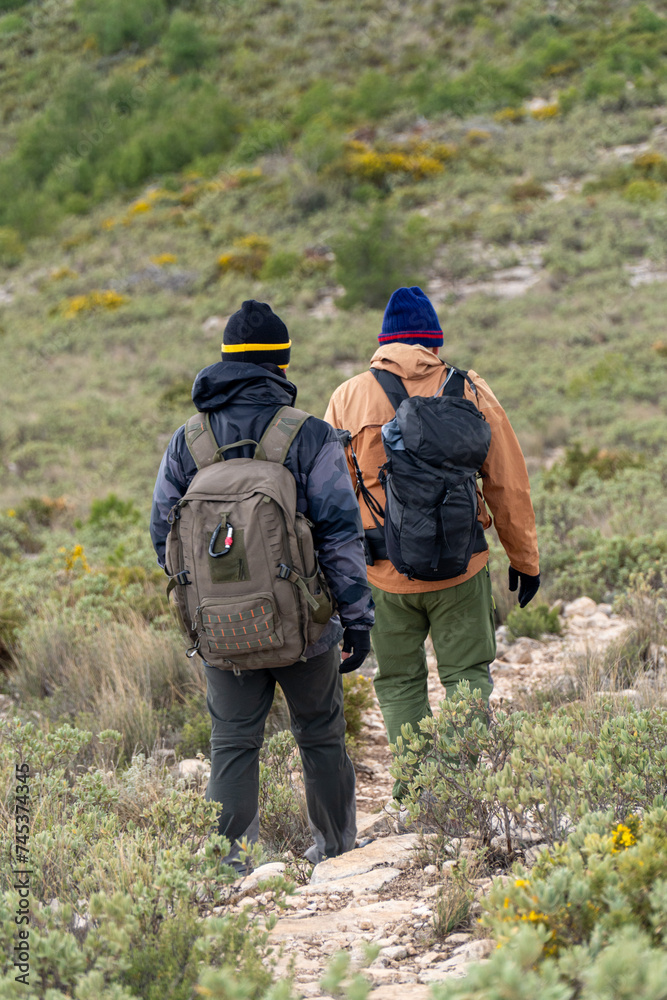 Back view, two hikers walking on mountains. Back view, two hikers walking on mountains.