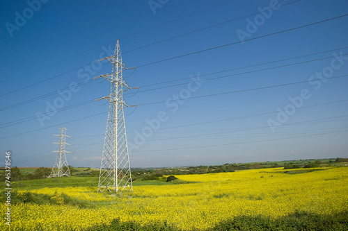 Power line and pylons in a field in Nurra. Porto Torres, Sassari, Sardinia. Italy