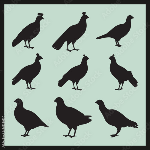 Grouse black silhouette set vector  birds silhouettes set