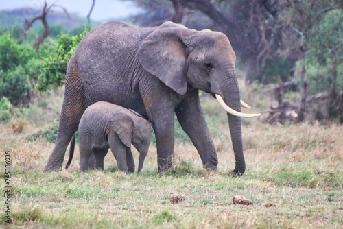 An elephant mother and its baby calf enjoy a quite moment in this timeless scene at Amboseli National park, Kenya