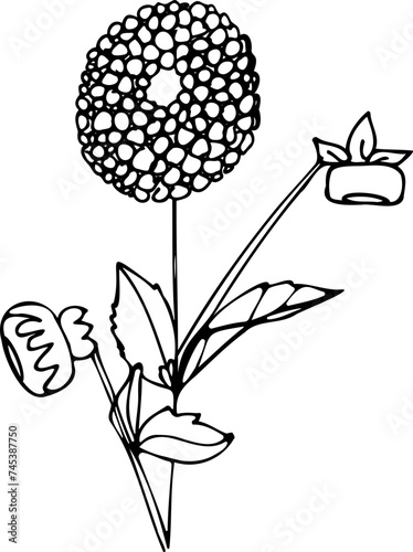 flowers, tattoo, sketch, freehand drawing, floristry, contour, one line, vector, twig, leaves, petal, leaves, nature, organic