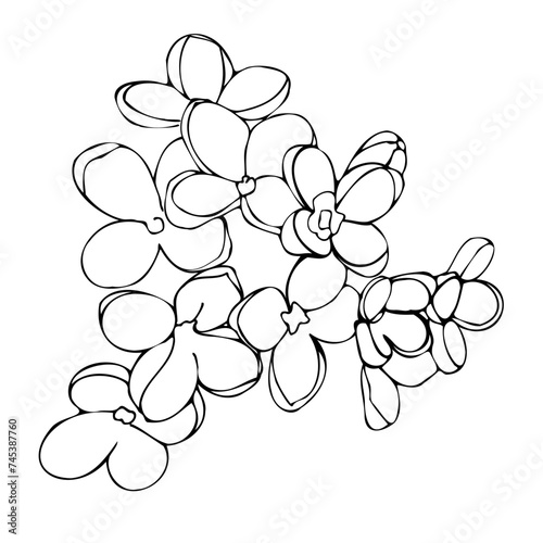 flowers, tattoo, sketch, freehand drawing, floristry, contour, one line, vector, twig, leaves, petal, leaves, nature, organic