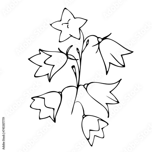 bells, tattoo, sketch, freehand drawing, floristry, , contour, one line, vector, twig, leaves, petal, leaves, nature, organic